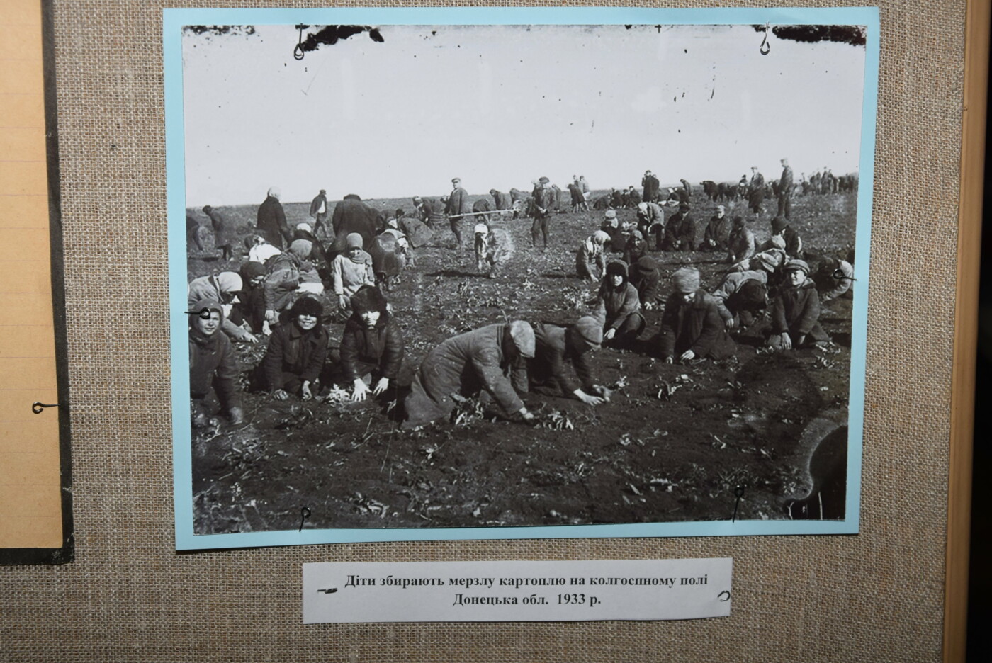 В Каменском вспоминали жертв голодомора 1932-1933 годов, фото-10 В Каменском вспоминали жертв голодомора 1932-1933 годов, фото-10