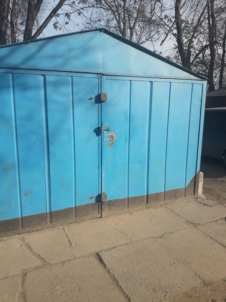 «Истощена, но безумно красива»: в Каменском освободили запе..., фото-1 «Истощена, но безумно красива»: в Каменском освободили запертую в гараже кошечку, фото-1