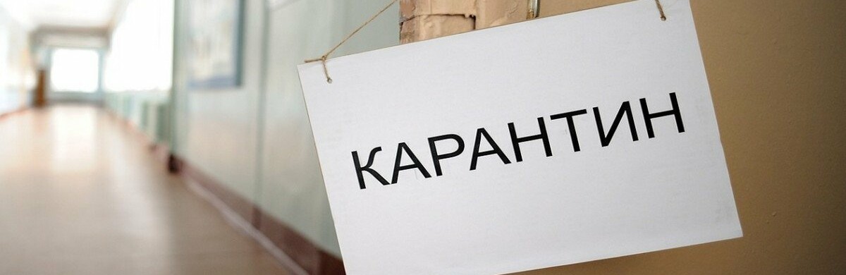 Сколько классов в Каменском закрыли на карантин Сколько классов в Каменском закрыли на карантин, Евгений Белый