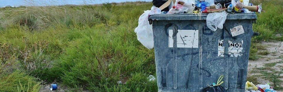 Тариф на вывоз мусора в Каменском остался прежним