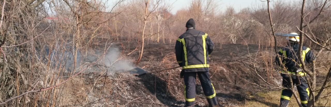 В Каменском ликвидировали пожар сухостоя