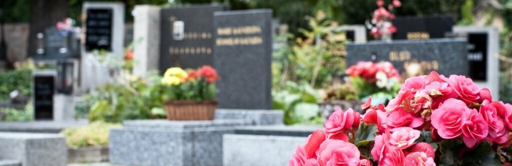 Нет искусственным цветам и полиэтиленовым пакетам: что придумали в правительстве