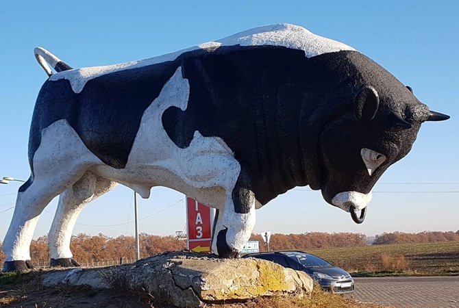 Каменчане перекроют трассу на Днепр