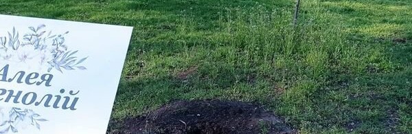 В Центральном парке Каменского украли магнолии