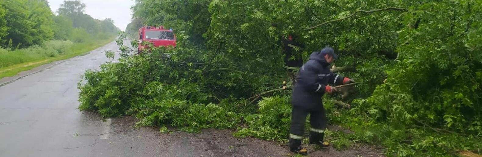 Поваленное дерево на трассе Каменского района убрали