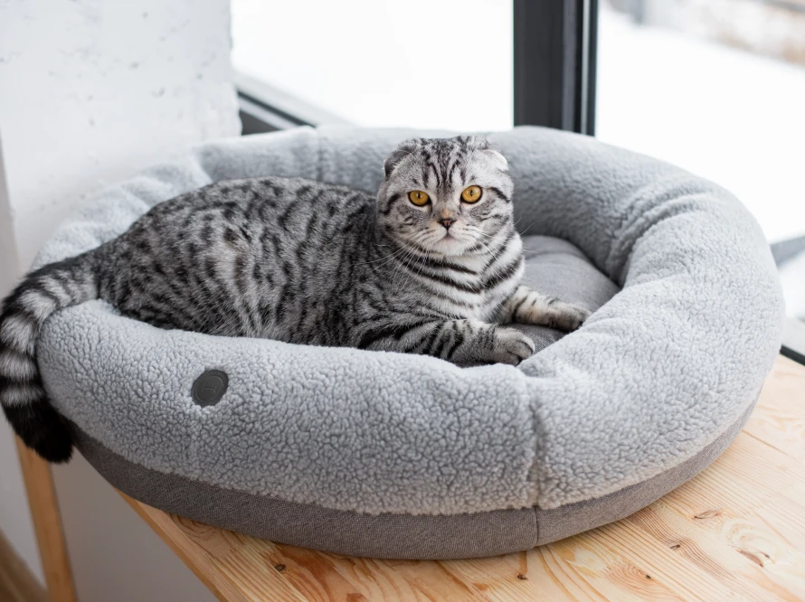 Овальний лежак Bagel Fur Gray