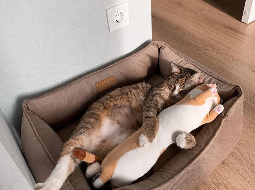 Лежак Dreamer Velour Beige