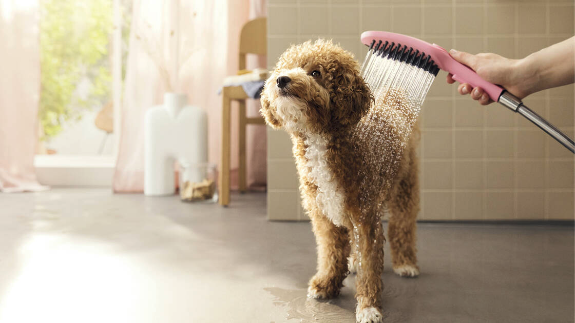 ручний душ hansgrohe DogShower 150 